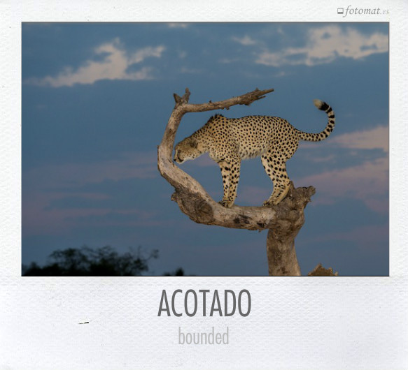 ACOTADO