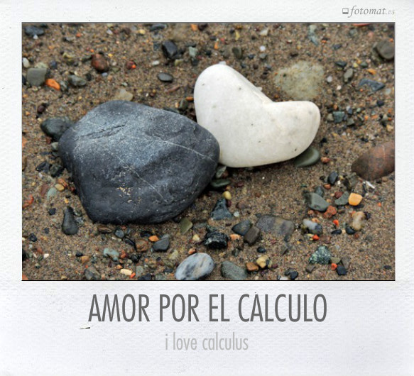 AMOR POR EL CÁLCULO