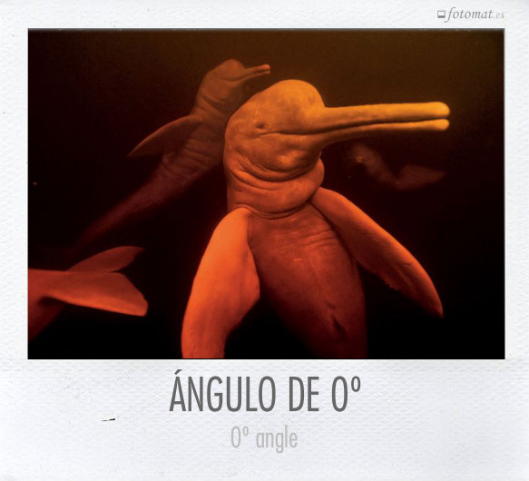 ÁNGULO DE 0º