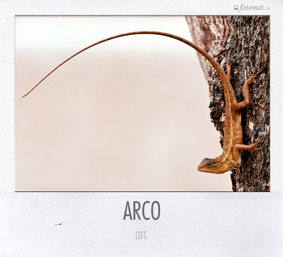 ARCO