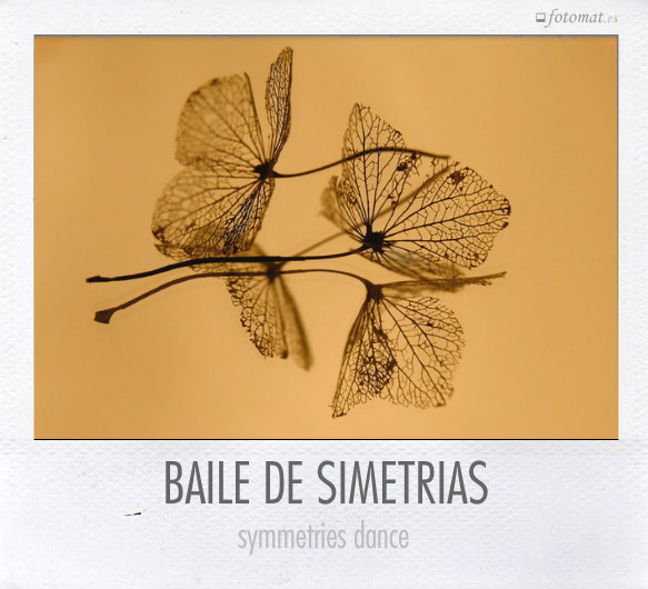 BAILE DE SIMETRIAS