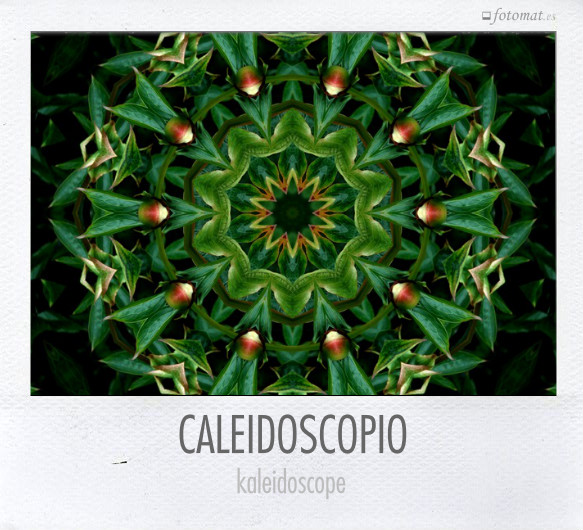 CALEIDOSCOPIO