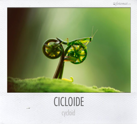 CICLOIDE