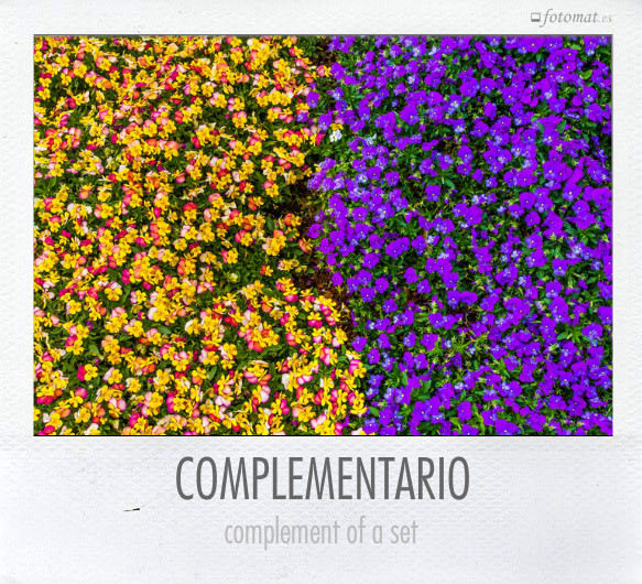 COMPLEMENTARIO