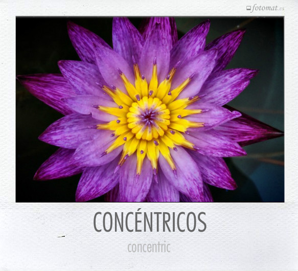 CONCÉNTRICOS