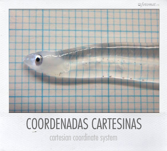 COORDENADAS CARTESINAS