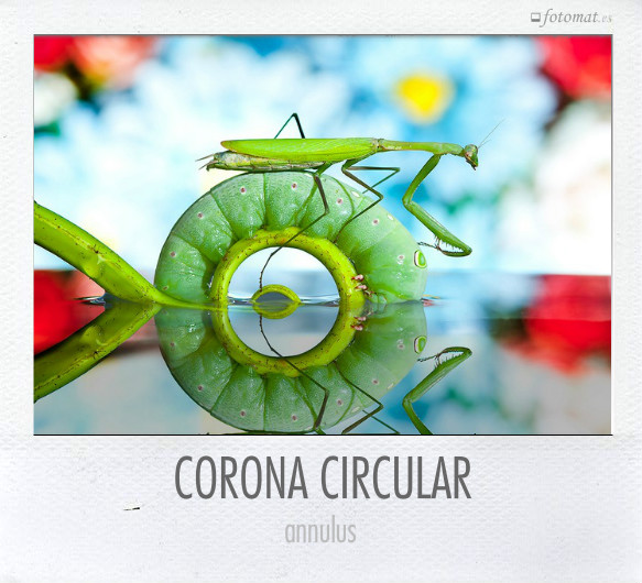 CORONA CIRCULAR