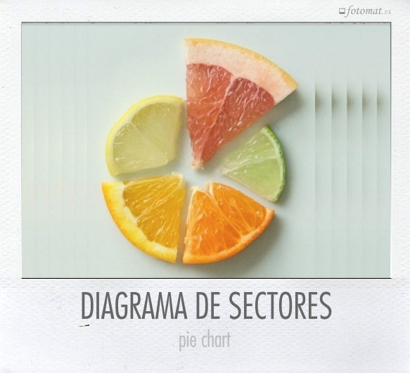 DIAGRAMA DE SECTORES