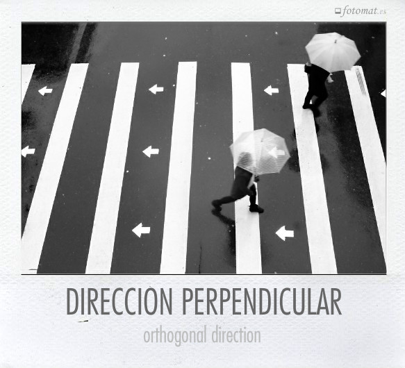 DIRECCIÓN PERPENDICULAR