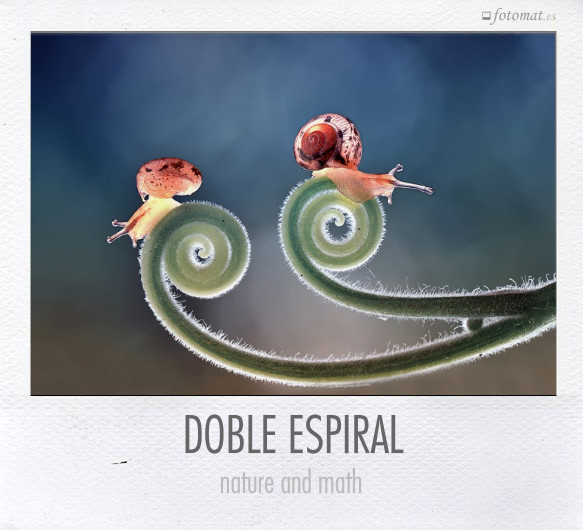 DOBLE ESPIRAL