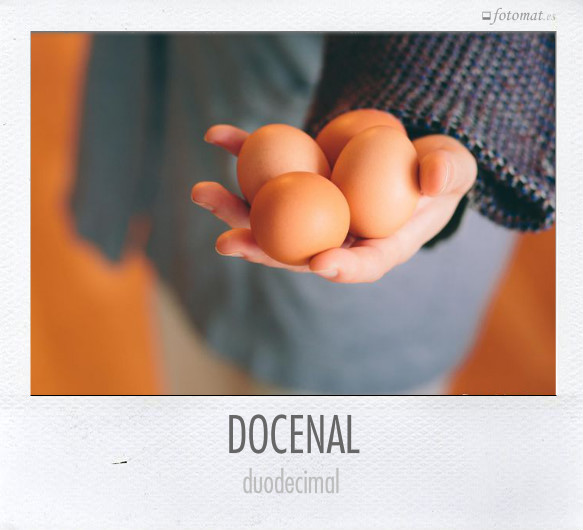 DOCENAL