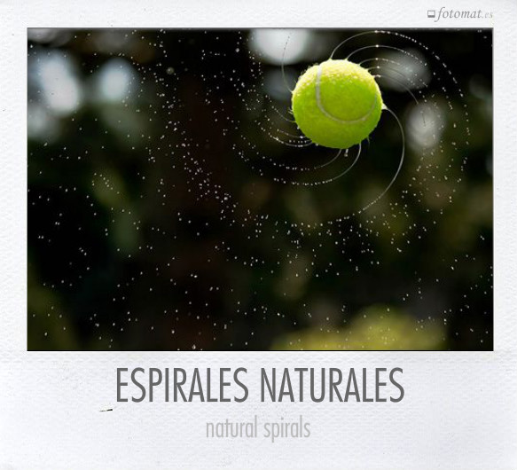 ESPIRALES NATURALES