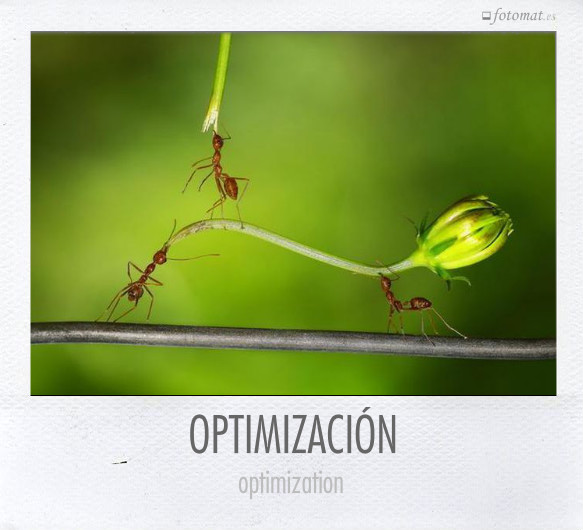 OPTIMIZACIÓN