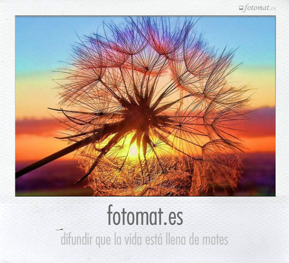 fotomat.es