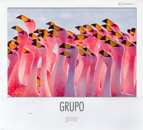 GRUPO