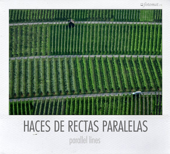 HACES DE RECTAS PARALELAS