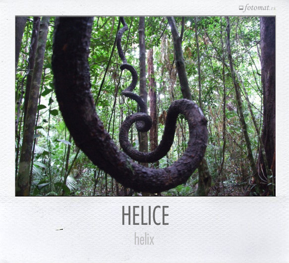 HELICE