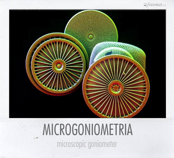 MICROGONIOMETRIA