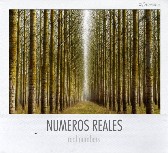 NUMEROS REALES