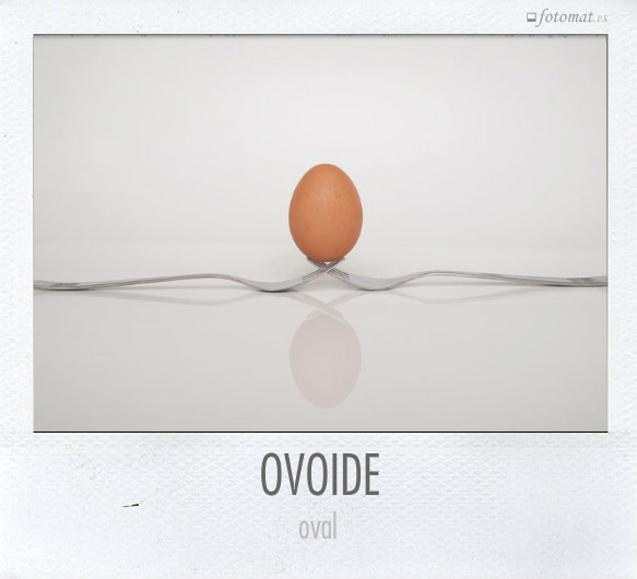 OVOIDE