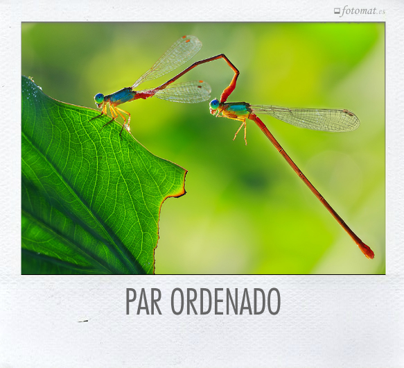 PAR ORDENADO