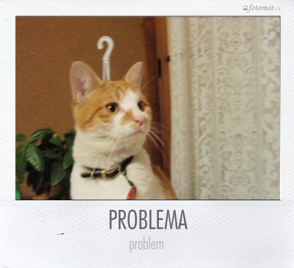 PROBLEMA
