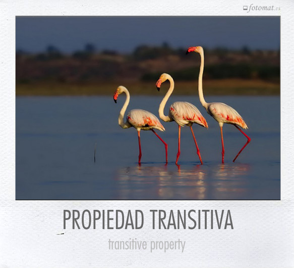 PROPIEDAD TRANSITIVA