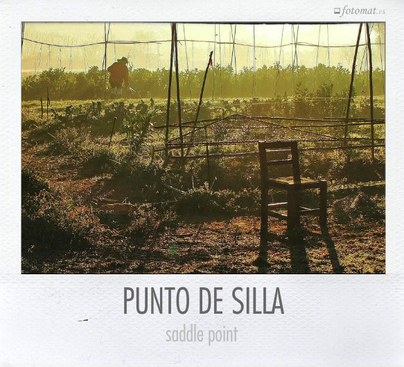 PUNTO DE SILLA