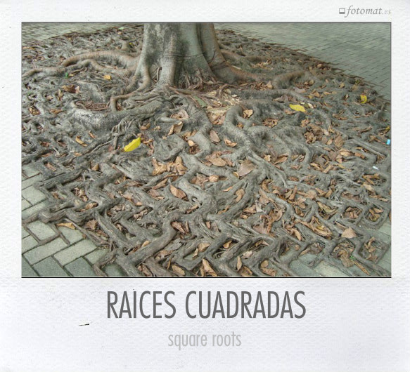 RAÍCES CUADRADAS