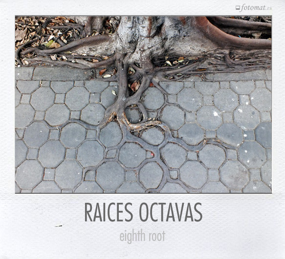 RAICES OCTAVAS