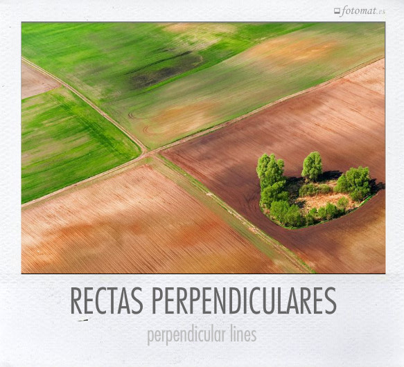 RECTAS PERPENDICULARES