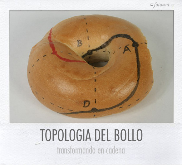 TOPOLOGIA DEL BOLLO