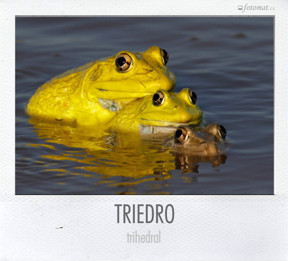 TRIEDRO