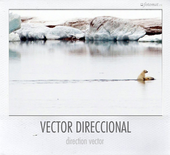 VECTOR DIRECCIONAL