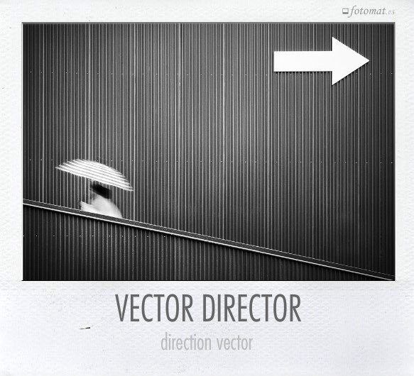 VECTOR DIRECTOR