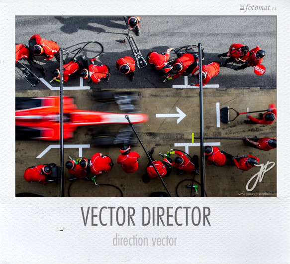 VECTOR DIRECTOR