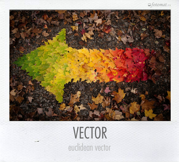 VECTOR