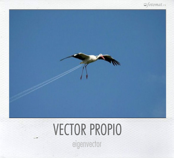 VECTOR PROPIO