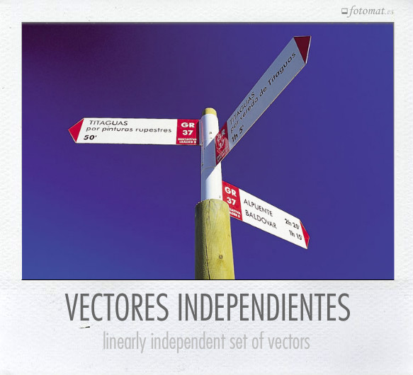 VECTORES INDEPENDIENTES