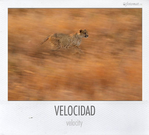 VELOCIDAD