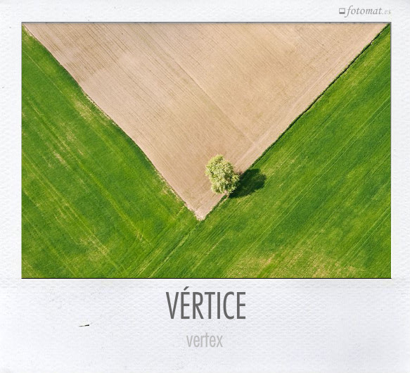 VÉRTICE