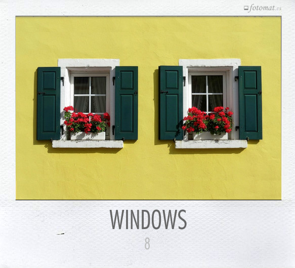 WINDOWS